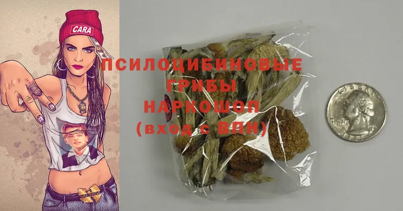 mega ссылка  Мурманск  Галлюциногенные грибы MAGIC MUSHROOMS  продажа наркотиков 